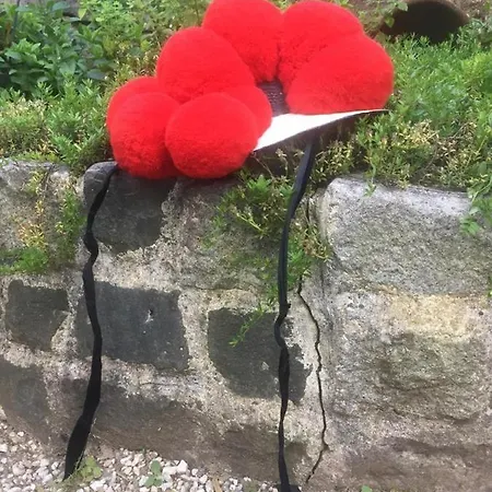 Apartamento Ferienwohnung Liesel